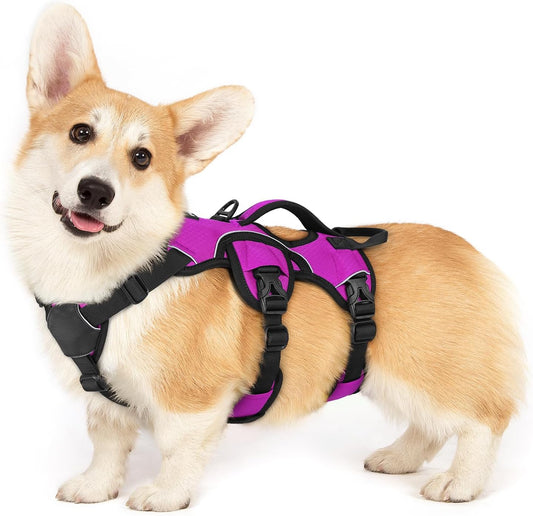 rabbitgoo Escape Proof Dog Harness, Soft Padded Full Body Pet Harness, Reflective Adjustable No Pull Vest with Lift Handle and Lesh Clip for Large Dogs Walking Hiking Training, S, Purple