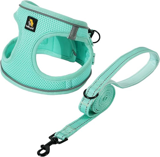BELLA & PAL Step in Vest Harness for Small and Medium Dogs, No Pull Small Dog Harness with Leash Set, Comfortable Air Mesh Dog Vest Harness with Reflective Strip (Light Green, M)
