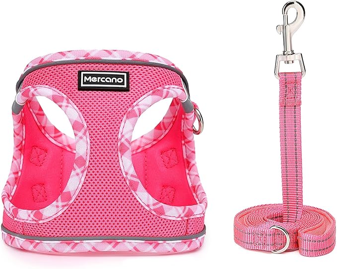 Mercano Soft Mesh Dog Harness and Leash Set, No-Chock Step-in Reflective Breathable Lightweight Easy Walk Vest Harnesses with Safety Buckle for Small Dogs, Cats (XL, Fuchsia)