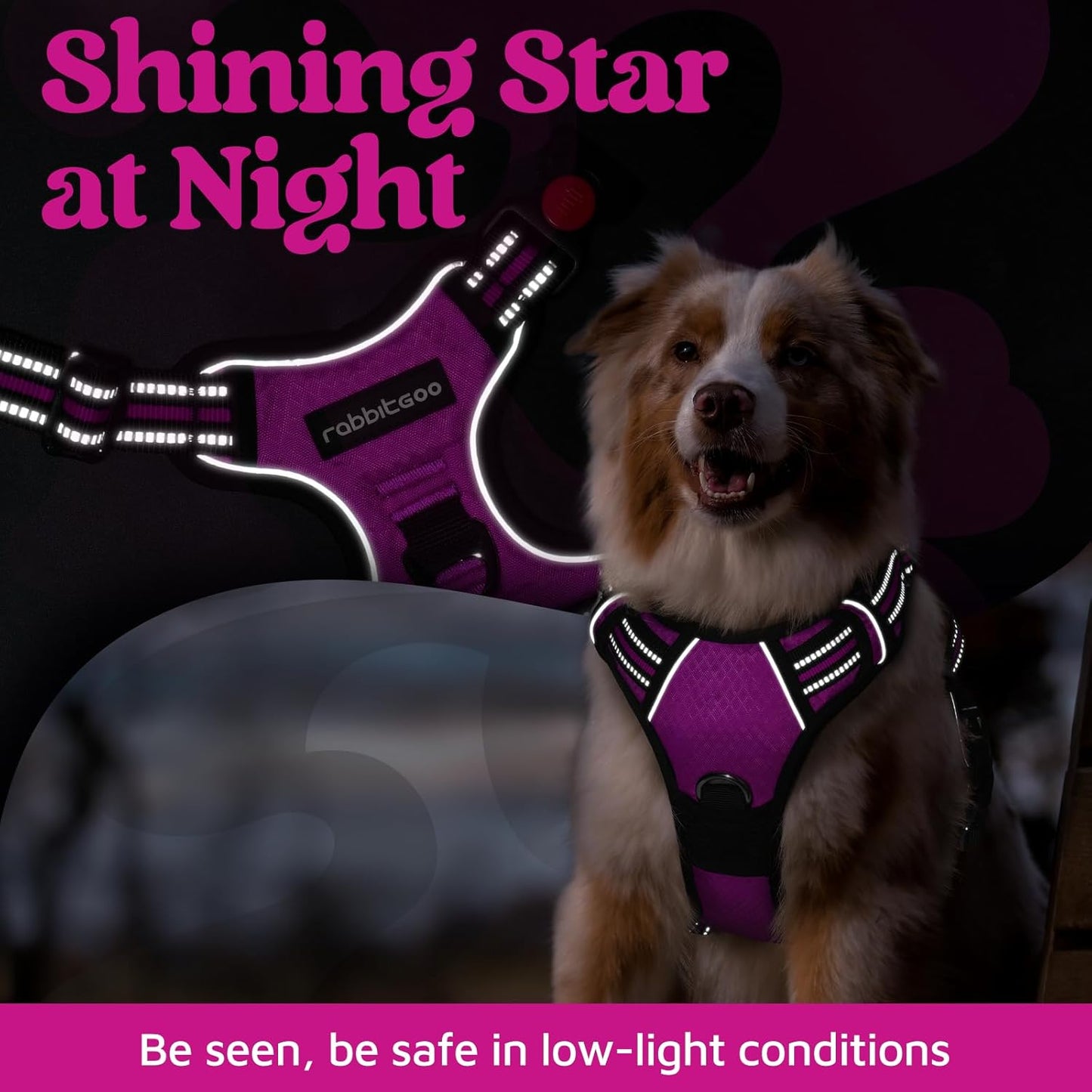 rabbitgoo Dog Harness for Large Dogs, No Pull Pet Vest with 3 Buckles, Adjustable Soft Padded Pet Harness with Easy Control Handle and Reflective Strips, Purple, L