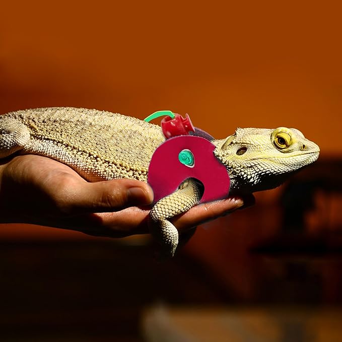 AIITLE Adjustable Bearded Dragon Harness Set - Soft, 3-Size Reptile Leash for Crested Geckos, Iguanas, Guinea Pigs, Rats (Indoor/Outdoor Use, Camping, Parties),Red