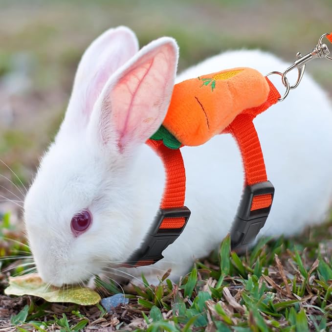 Tondiamo 4 Sets Adjustable Bunny Rabbit Harness and Leash Set Small Pet Cute Vest Harness Leash with Decoration for Bunny Ferret Small Pets(Fruit)