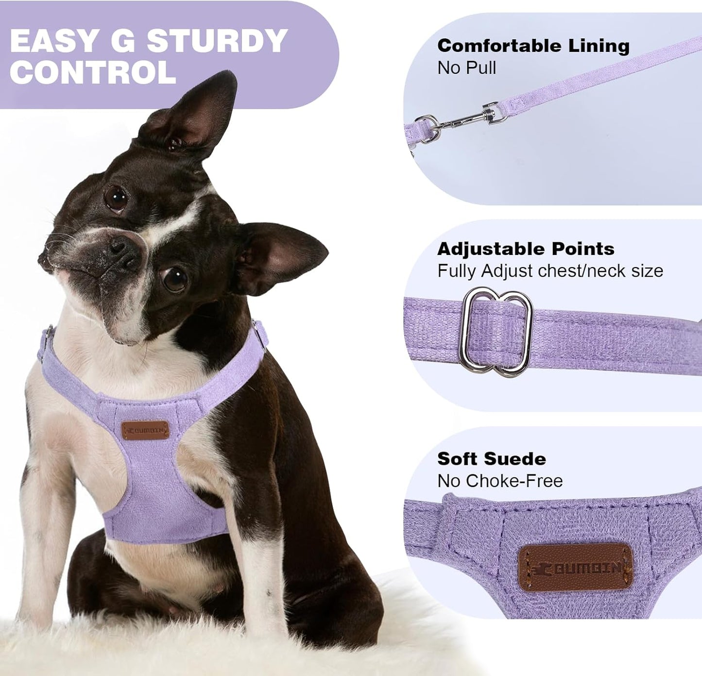 Dog Harness and Leash Set, XXS No Pull Adjustable Puppy Harness with Multifunction Purple Dog Leash and Collar, Soft No Choke Escape Proof Pet Harness Vest for Small Dogs and Cats (Purple, XXS)