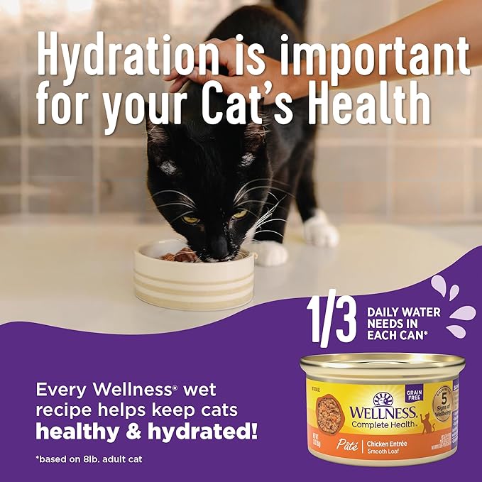 Wellness Complete Health Minced Adult Wet Cat Food, Natural, Protein-Rich, Grain Free, 3 Ounce, 24 Pack, (Salmon Entrée)