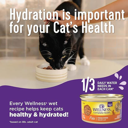 Wellness Complete Health Pate Adult Wet Cat Food, Natural, Protein-Rich, Grain Free, 3 Ounce, 24 Pack, (Turkey & Salmon)