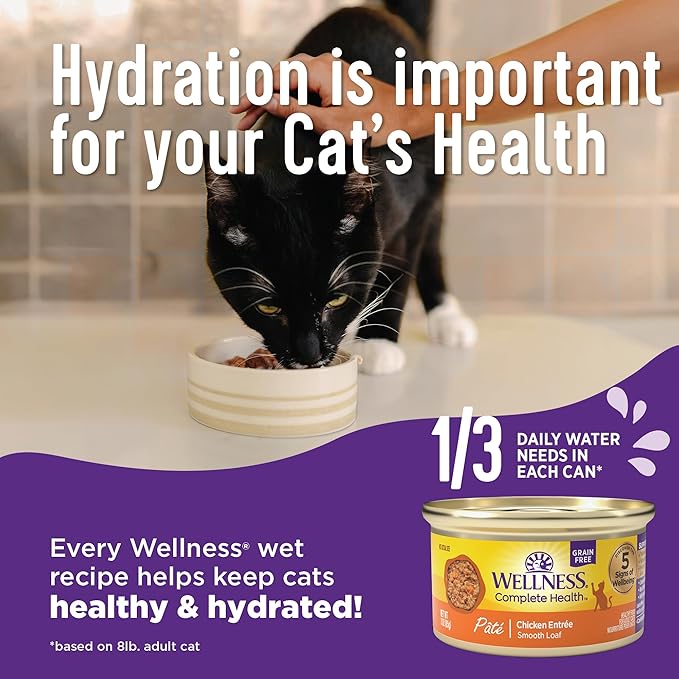 Wellness Complete Health Gravy Adult Wet Cat Food, Natural, Protein-Rich, Grain Free, 5.5 Ounce, 12 Pack, (Chicken & Tuna Dinner)
