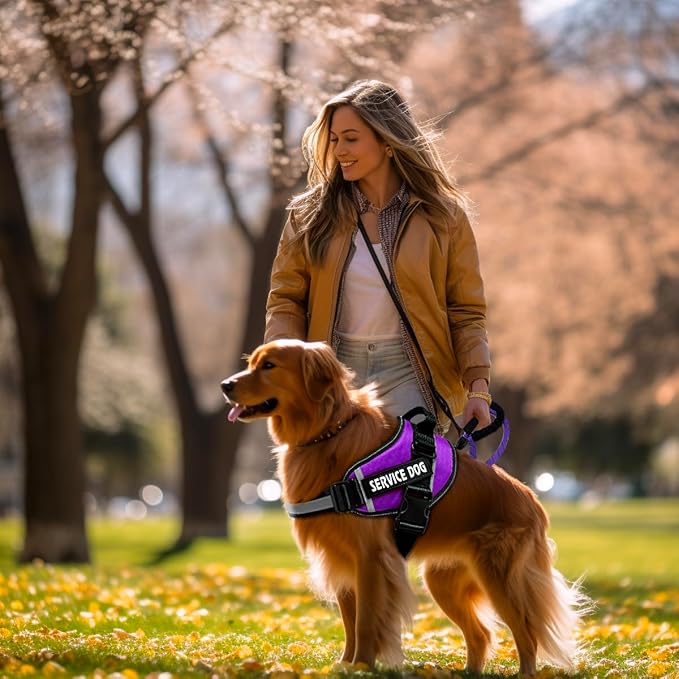Service Dog Vest, 9 Dog Patches No Pull Dog Harness and Leash Set with Handle,Easy On and Off Pet Vest Harness with Night Safe Reflective Straps for Small Medium Large Breed Dogs