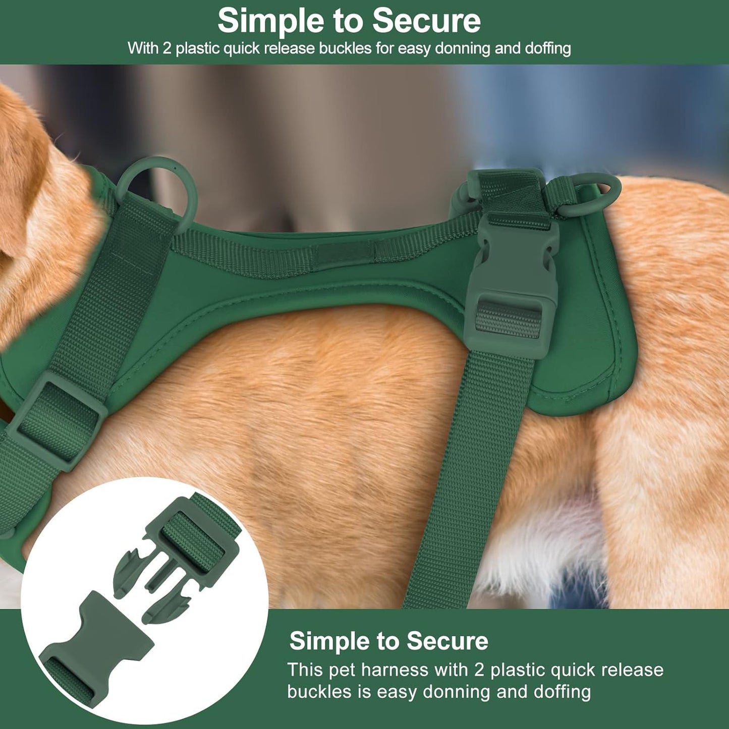 No Pull Lightweight Dog Harness: Adjustable Durable Breathable Mesh Pet Vest Harness with Soft & Comfortable Cushion, for Small Medium Large Dogs (L, Pine Green)