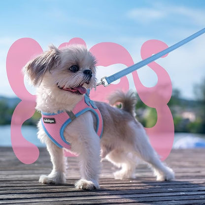 rabbitgoo Dog Harness Small Sized and Leash Set, Step-in Breathable Pet Harness, Soft Walking Reflective Puppy Vest for Small Dogs, Pink & Light Blue, S