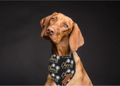 Realeaf New Year Dog Bandanas 2 Pack, Cheers to The New Year Dog Scarf for Boy and Girl, Premium Durable Fabric, Holiday Bandana for Medium and Large Dogs Cats Pets (Large)