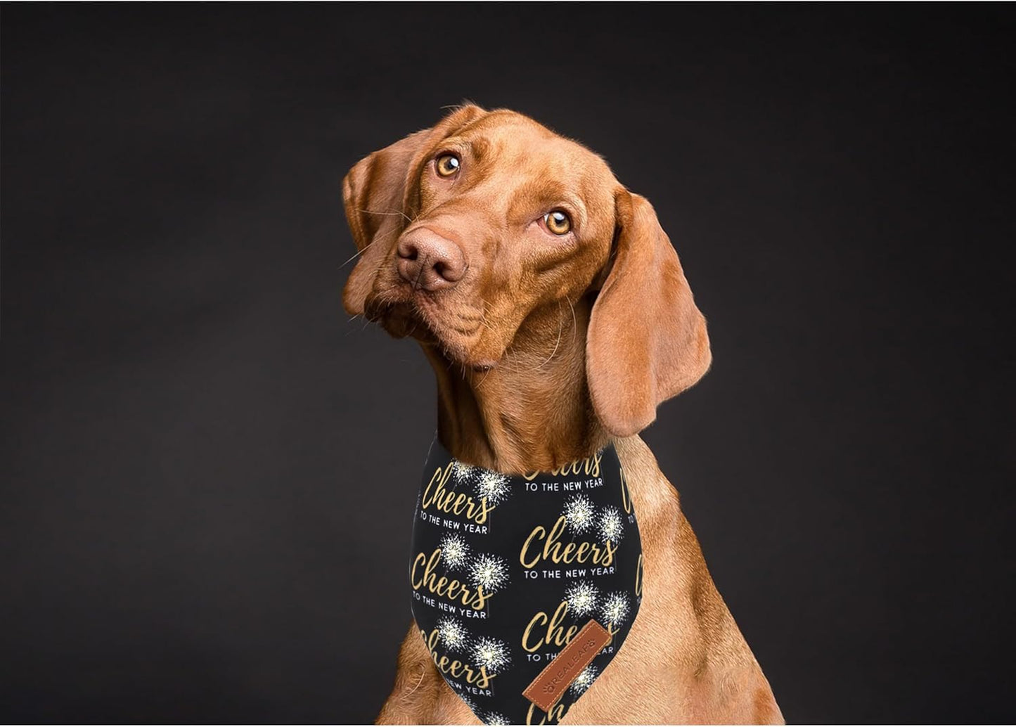 Realeaf New Year Dog Bandanas 2 Pack, Cheers to The New Year Dog Scarf for Boy and Girl, Premium Durable Fabric, Holiday Bandana for Small and Medium Dogs Cats Pets (Small)