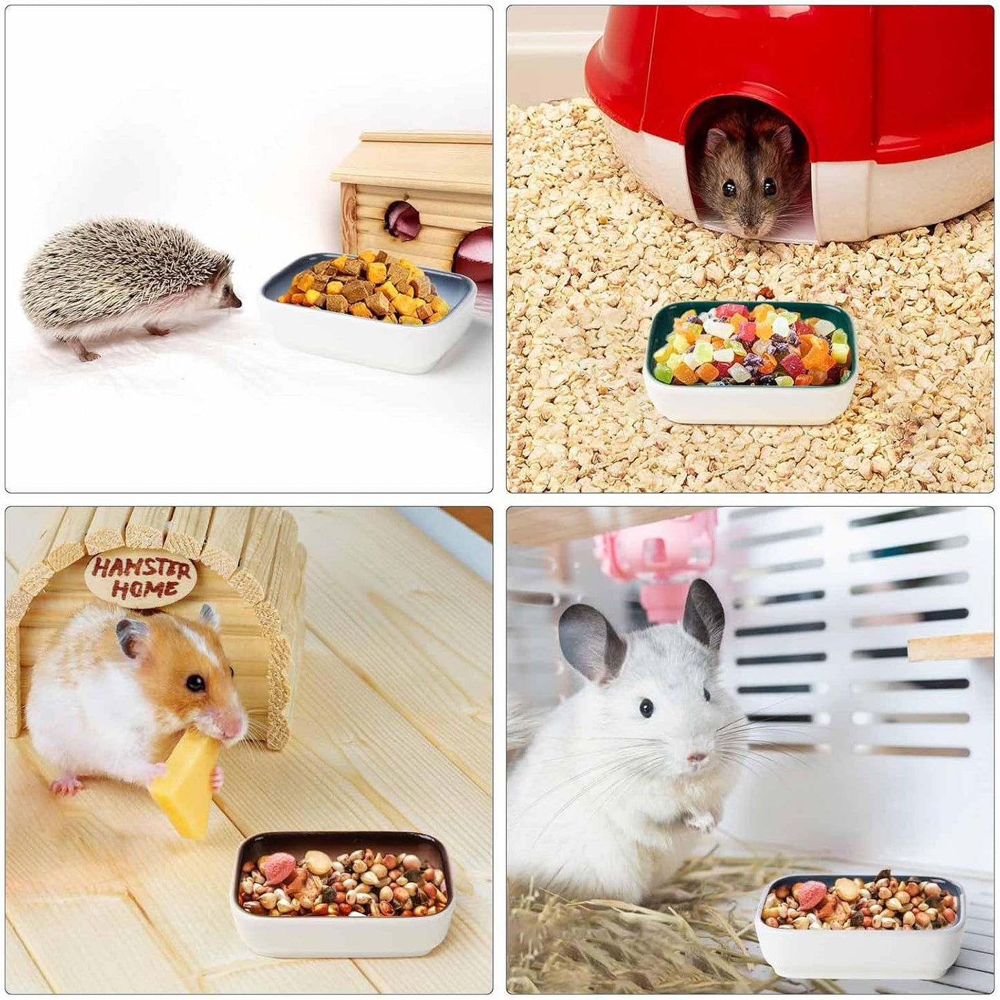 Ceramic Feeding Bowls for Small Animals, Ideal for Hamster, Guinea Pig, Hedgehog and Gerbil (Blue + Green + Brown)