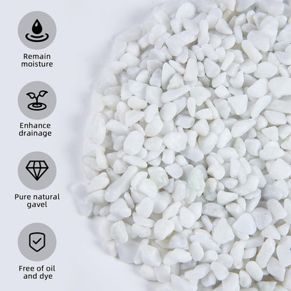 5lb Rocks Polished Silica Gravel for Plants Garden, Decorative Pebbles Ideal for Fish Tank, Vases, Succulents, Crafting, Home Decor and Garden Landscaping, Snow White(0.16-0.24”)