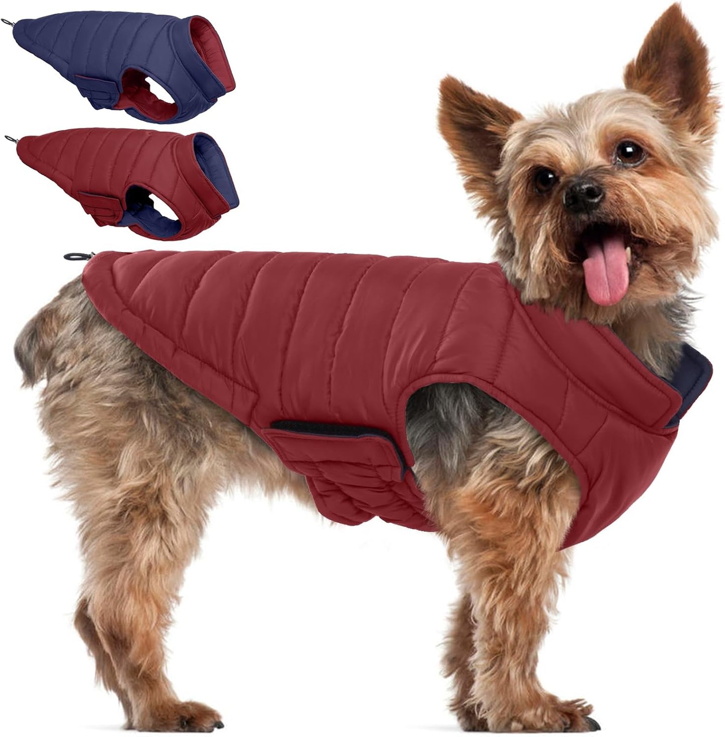 QBLEEV Reversible Dog Coat for Small Dogs, Waterproof Windproof Winter Jacket Keeps Small Breeds Warm & Dry, Lightweight Adjustable Puffer Vest with Leash Hole, Wine Red, XS – Fits Chihuahua, Yorkie