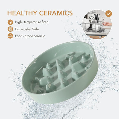 Ceramic 1.6 Cup Dog Bowl Slow Feeder, 8.2 inch Slow Pet Food Dish for Medium and Large Dog, Stop Bloat, Preventing Choking(Single Bowl, Light Green)