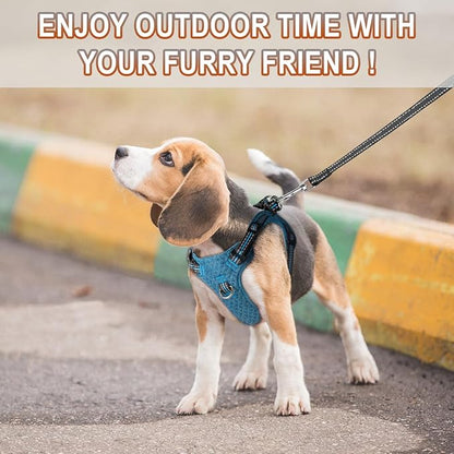 Dog Harness Step in Dog Vest Harness, Reflective Adjustable Puppy No Pull Harness Breathable Soft for Small and Medium Dogs Cats, Blue/Black, S