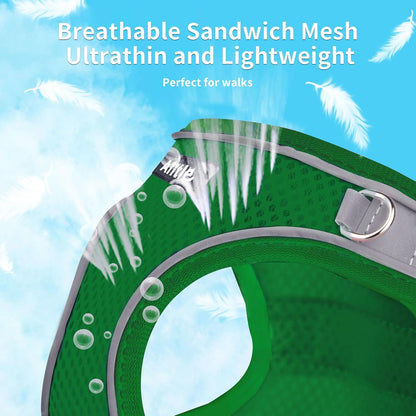 AIITLE Small Harness for Puppy with A Leash - Summer Dog Vest Harness with Super Breathable Mesh, Reflective No-Pull Pet Harness for Outdoor Walking, Camping for Small Dogs, Cats Green XXS