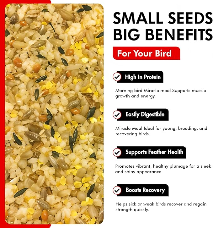 Morning Bird Miracle Meal 1.5 lbs – Soft Food for Birds with Vitamins & Supplements – Packed with Protein, Minerals & Amino Energy – Promotes Strong Feathers, Breeding & Overall Wellness