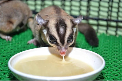 Honey & Fruit Instant-HPW (1 lb.) - All Natural Vitamin Enriched Sugar Glider Food - Healthy & Nutritious - High Protein Wombaroo - Staple Diet