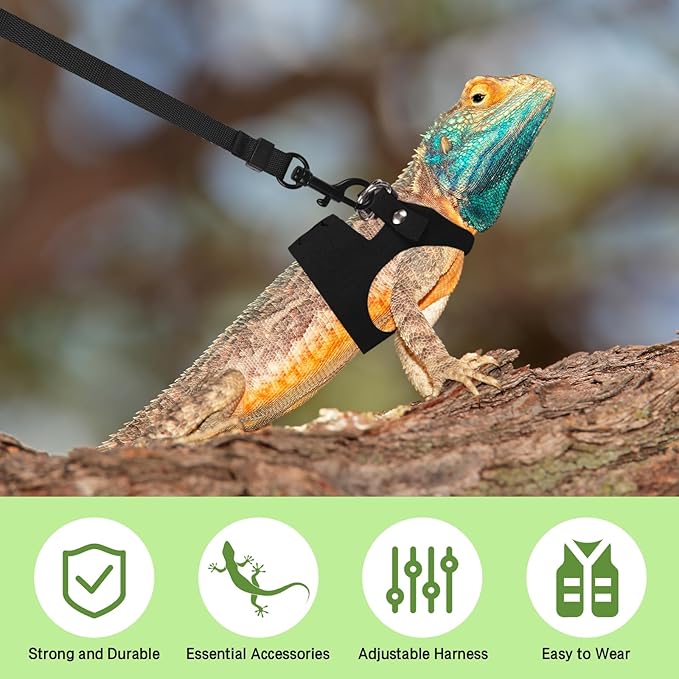Bearded Dragon Harness Leash Set 3 Size Adjustable Lizards Training Walking Leather Vest Escape-Proof Traction Rope for Outdoor Small Reptiles Animal Squirrels (Black)