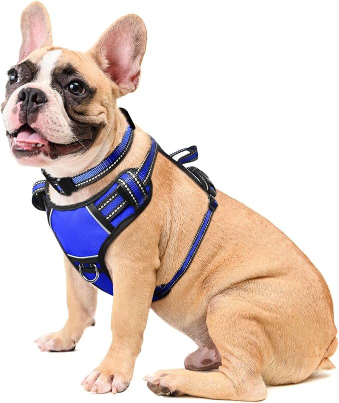 WINSEE Dog Harness No Pull, Pet Harnesses with Dog Collar, Adjustable Reflective Oxford Outdoor Vest, Front/Back Leash Clips for Small, Medium, Large, Extra Large Dogs, Easy Control Handle for Walking