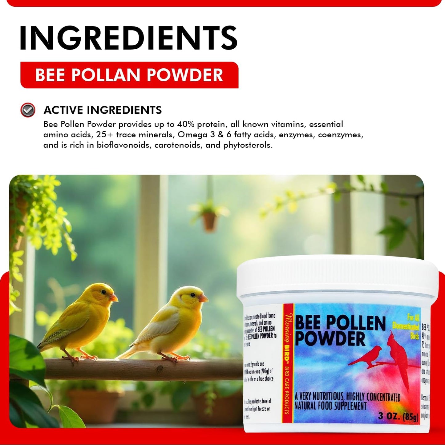 Morning Bird Bee Pollen Powder for Birds 3 Oz – Complete Nutrition with Protein, Amino Acids & Immune Support – Bird Vitamin & Mineral Supplement for Daily Health & Wellness