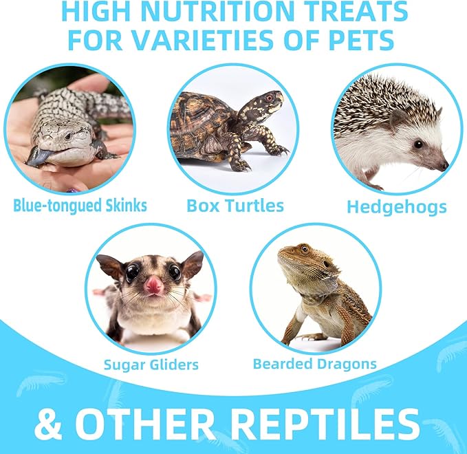 3.5 Oz Freeze Dried River Shrimp Turtle Food, Shrimp for Turtle, Nutrient Rich Treat for Reptiles, Sugar Gliders, Hedgehogs, Tropical Fish