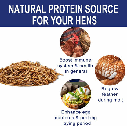 RANZ 20LBS Non-GMO Dried Mealworms for Chickens, High Protein Meal Worms, Premium Chicken Feed, Whole Large Mealworms for Blue Birds, Ducks, Fish