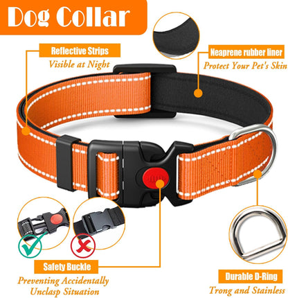 No Pull Dog Harness, Collar & Leash Set | Includes Dog Seat Belt, Collapsible Bowls & Poop Bag Dispenser. Ideal for Training, Walking, Hiking. Fits Small to Large Dogs(Orange-M)