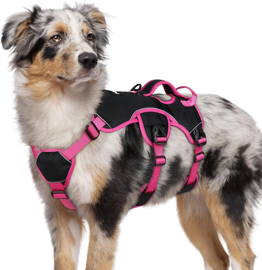 rabbitgoo Escape Proof Dog Harness Medium, Soft Padded Full Body Pet Harness, Reflective Adjustable No Pull Vest with Lift Handle and Leash Clip for Walking Hiking Training, Pink & Black, M