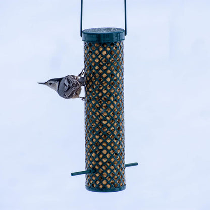 C&S CS06110 Sunflower Suet Nuggets, 27-Ounce (Pack of 2)