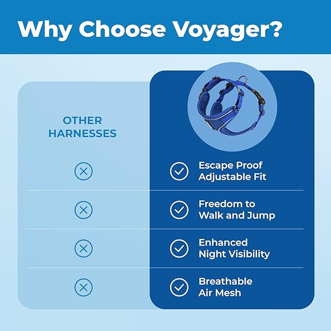 Voyager Escape Proof Cat Harness and Leash Set with Reflective Stitching, Neoprene Handle 5ft - Supports Small, Medium and Large Cats, Kittens for Walking by Best Pet Supplies - Royal Blue, XS