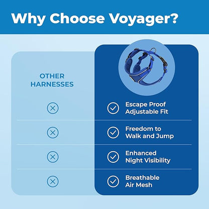 Voyager Escape Proof Cat Harness and Leash Set with Reflective Stitching, Neoprene Handle 5ft - Supports Small, Medium and Large Cats, Kittens for Walking by Best Pet Supplies - Royal Blue, XS