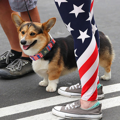 Elegant little tail Independence Dog Collar, Holiday Pet Collar Patriotic Dog Durable Dog Collars Girl or Boy Soft Pet Gift Adjustable Dog Collar for Small Medium Large Dogs