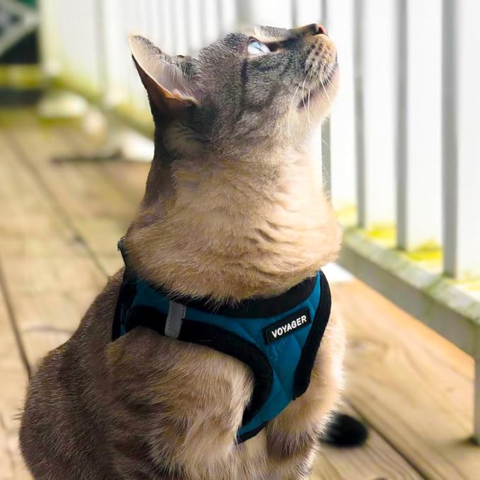 Best Pet Supplies - All Weather Mesh / Plush, Reflective, No Pull Harness for Small, Medium Dogs, Cats - Secure with Hook & Loop Fastener, Buckle, Double D-Rings - Turquoise Plush, S