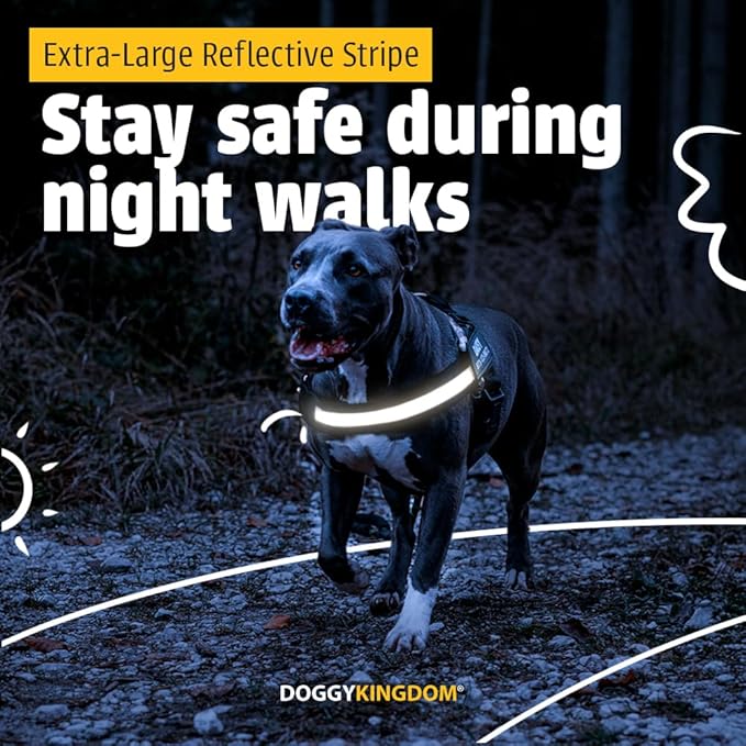 Personalized No-Pull Dog Harness with Name Patch, Adjustable, Reflective, Padded, Heavy Duty Pet Vest to Prevent Tugging, Pulling, or Choking, Training and Walking, Motorsport, M