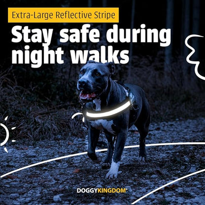 Personalized No-Pull Dog Harness with Name Patch, Adjustable, Reflective, Padded, Heavy Duty Pet Vest to Prevent Tugging, Pulling, or Choking, Training and Walking, US Flag, M