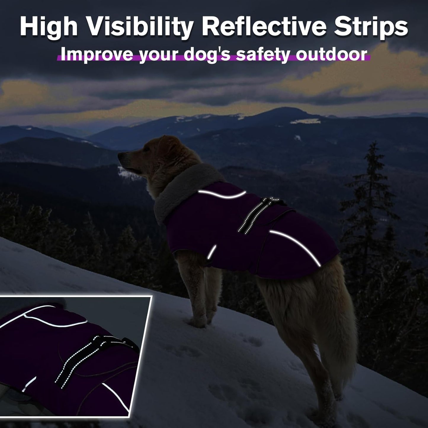 Lelepet Warm Dog Winter Coats for Medium Dogs Waterproof Dog Jacket Reflective Pet Fleece Vest Windproof Cold Weather Coats with Adjustable Buckle & Leash Hole, Purple, M