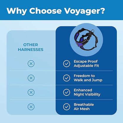Voyager Escape Proof Cat Harness and Leash Set with Reflective Stitching, Neoprene Handle 5ft - Supports Small, Medium and Large Cats, Kittens for Walking by Best Pet Supplies - BT-Royal Blue, S
