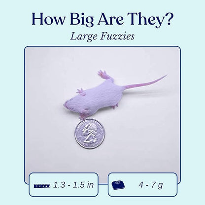 MiceDirect EST. 2003 100 Frozen Mice Fuzzie Feeders Snake Food for Juvenile Hognose Corn milks (1.25-1.5 in) (400 Grams Min)