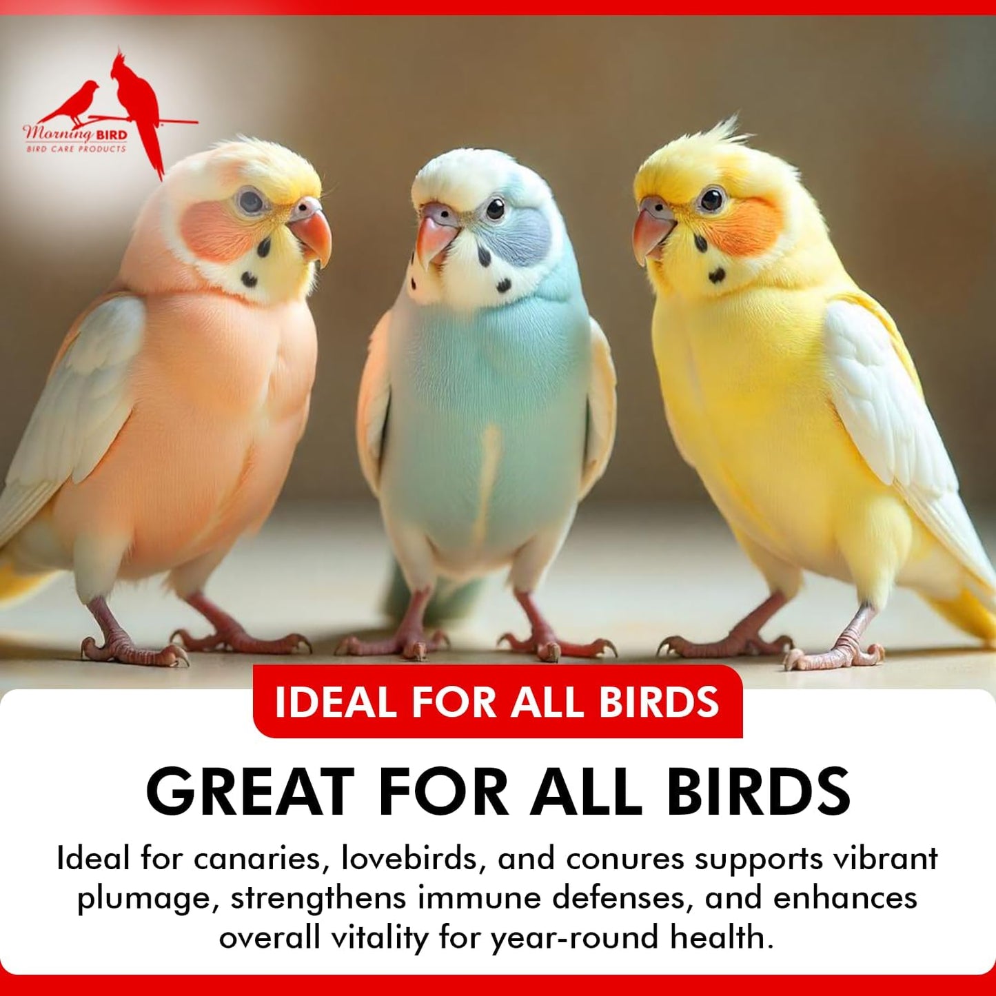 Morning Bird Bee Pollen Granules 3 Oz – Naturally Immune Support & Protein Powder for Birds – Boosts Strength, Feather Health & Energy Supplements – Easy to Mix with Food for All Bird Types