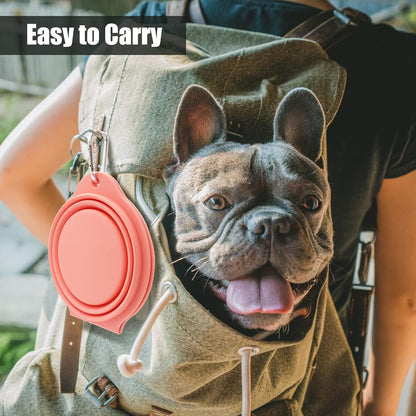 SLSON Collapsible Dog Bowls,Integrated Molding Dog Double Bowl No Plastic Rim 2 in 1 Foldable Pet Food & Water Bowl Cat Feeder Dish for Walking,Hiking,Camping (Coral Pink)