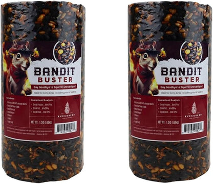 Birdseed Cylinders with Hole - Bird Seed for Outside Wild Birds (Small Cylinder, Bandit Buster 2pc)