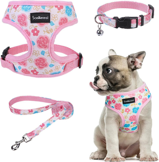 SCENEREAL Small Dog Harness Collar and Leash Set, Adjustable No Pull Pet Harnesses, No Chock Soft Mesh Step in Vest for Doggie Puppy Medium Dogs Cats Girl or Boy,Chihuahua, Yorkie, Outdoor Walking