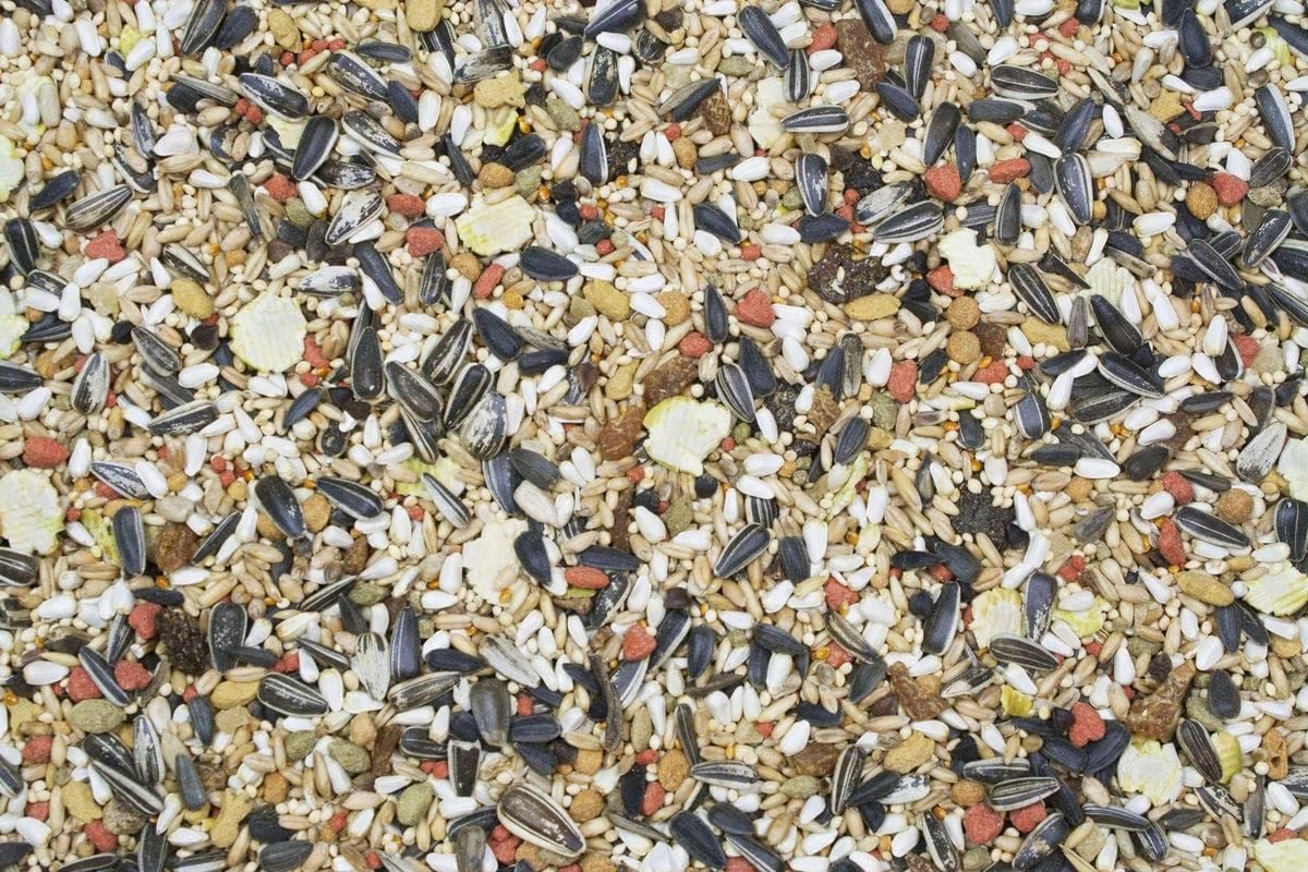 Aurora Pet Bundle (2) Higgins Vita Seed Cockatiel Food (2.5 lb Each) with AuroraPet Wipes