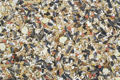 Aurora Pet Bundle (2) Higgins Vita Seed Cockatiel Food (2.5 lb Each) with AuroraPet Wipes