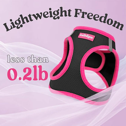 rabbitgoo Dog Harness Small Sized and Leash Set, Step-in Breathable Pet Harness, Soft Walking Reflective Puppy Vest for Small Dogs, Black & Rose Red, XXS