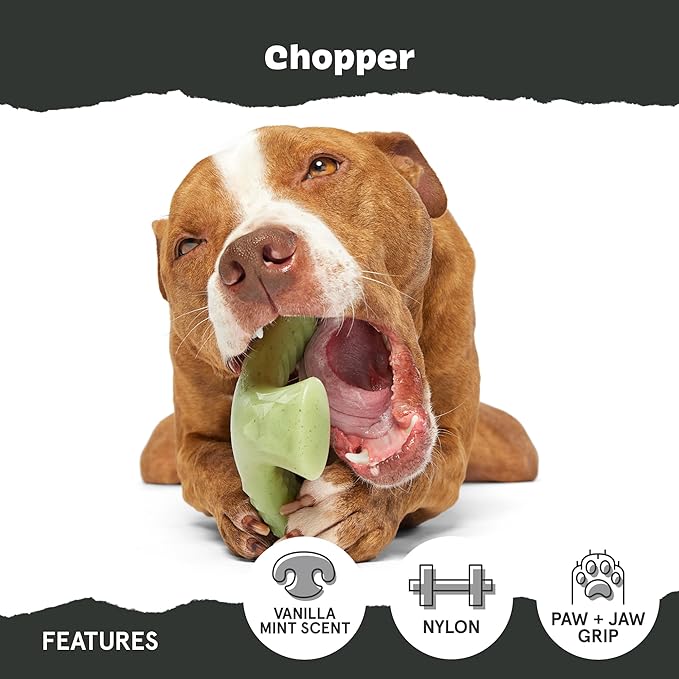 Barkbox Super Chewer Tough Dog Chew Toys for Aggressive Chewers, Dental Stimulating (Chopper - Large)