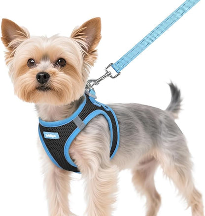 rabbitgoo Dog Harness Small Sized and Leash Set, Step-in Breathable Pet Harness, Soft Walking Reflective Puppy Vest for Small Dogs, Black & Light Blue, XS