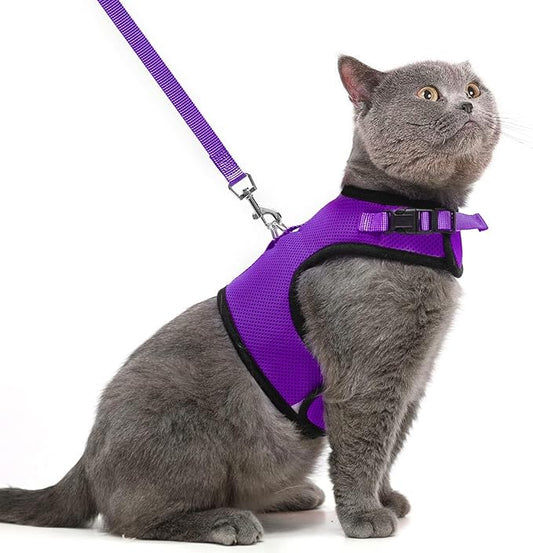 PUPTECK Soft Mesh Cat Vest Harness and Leash Set Puppy Padded Pet Harnesses Escape Proof for Cats Small Dogs Rabbits Bunny